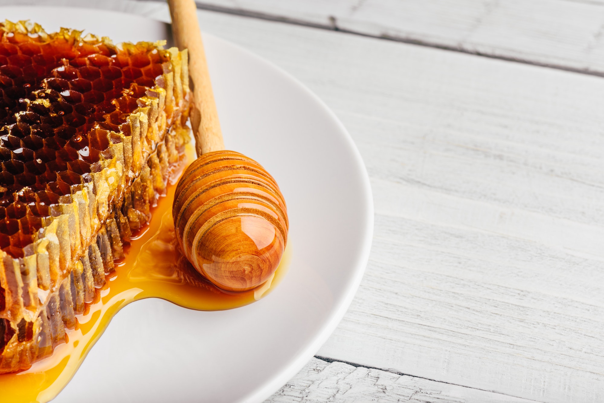 Honeycomb on plate with honey dipper